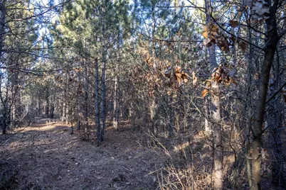 Lot 2 11th Drive, Friendship, WI 53934 - Photo 14