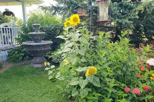 N9026 Hickory Point Rd, Beaver Dam, WI 53916 - Photo 76