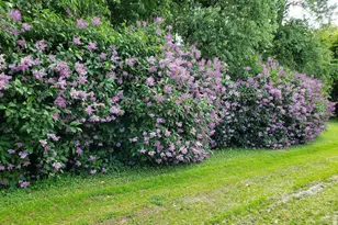 N9026 Hickory Point Rd, Beaver Dam, WI 53916 - Photo 72