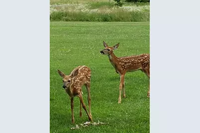 N9026 Hickory Point Road, Beaver Dam, WI 53916 - Photo 74
