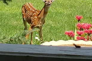 N9026 Hickory Point Rd, Beaver Dam, WI 53916 - Photo 82