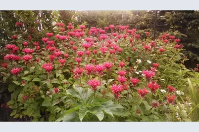 N9026 Hickory Point Road, Beaver Dam, WI 53916 - Photo 84