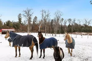 W4838 28th St, Necedah, WI 54646 - Photo 30