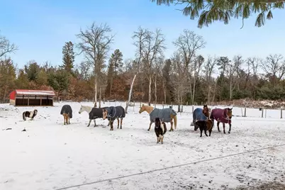 W4838 28th Street, Necedah, WI 54646 - Photo 30