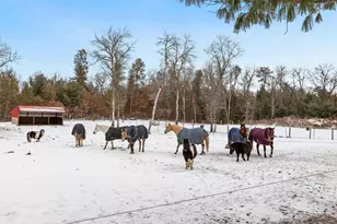 W4838 28th St, Necedah, WI 54646 - Photo 30