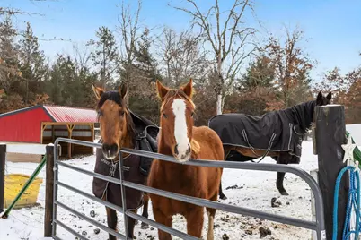 W4838 28th Street, Necedah, WI 54646 - Photo 32