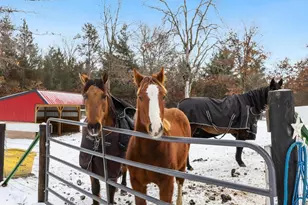 W4838 28th St, Necedah, WI 54646 - Photo 32