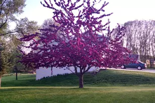 640 Mooreland Circle, Portage, WI 53901 - Photo 50