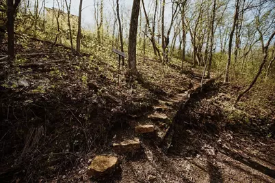 N7703 Wanlass Road, Mindoro, WI 54644 - Photo 12