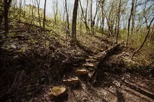 N7703 Wanlass Rd, Mindoro, WI 54644 - Photo 12