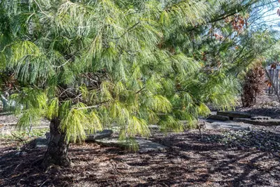 345 Kensington Drive, Madison, WI 53704 - Photo 62