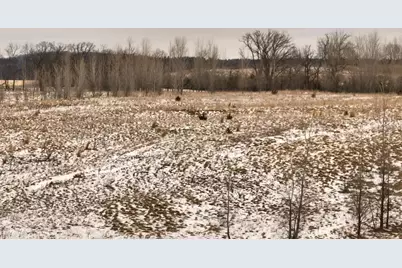 2387 County Road G, Grand Marsh, WI 53936 - Photo 26