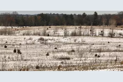 2387 County Road G, Grand Marsh, WI 53936 - Photo 8