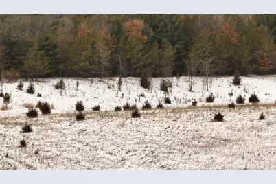 2387 County Road G, Grand Marsh, WI 53936 - Photo 20