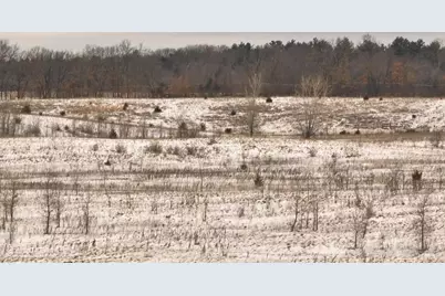 2387 County Road G, Grand Marsh, WI 53936 - Photo 24