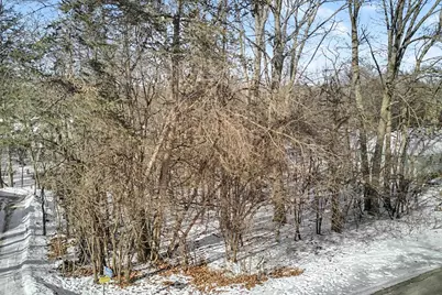 Lot 6 Peacock Lane, Green Lake, WI 54941 - Photo 4