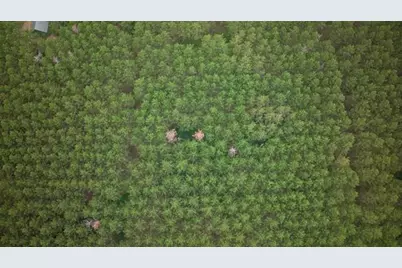 391 Twin Lakes Trail, Nekoosa, WI 54457 - Photo 6