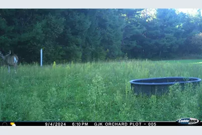 4604 County Highway I, Sparta, WI 54656 - Photo 86