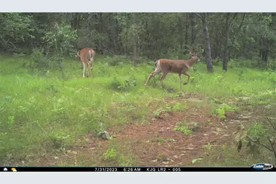 4604 County Highway I, Sparta, WI 54656 - Photo 76