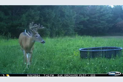 4604 County Highway I, Sparta, WI 54656 - Photo 82