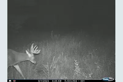 4604 County Highway I, Sparta, WI 54656 - Photo 80