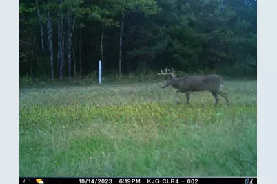 4604 County Highway I, Sparta, WI 54656 - Photo 72