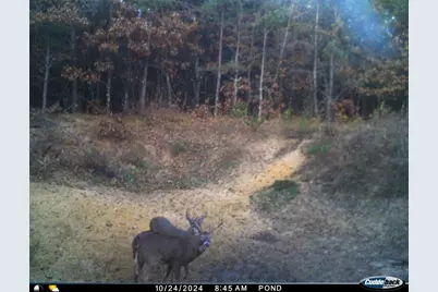 4604 County Highway I, Sparta, WI 54656 - Photo 74