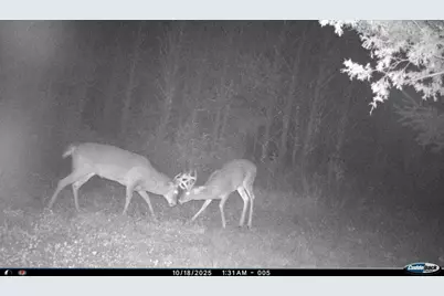 4604 County Highway I, Sparta, WI 54656 - Photo 84