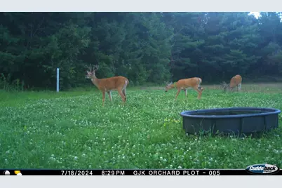 4604 County Highway I, Sparta, WI 54656 - Photo 78