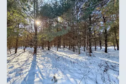 5148, Lot 2 County Highway S, Sparta, WI 54656 - Photo 12