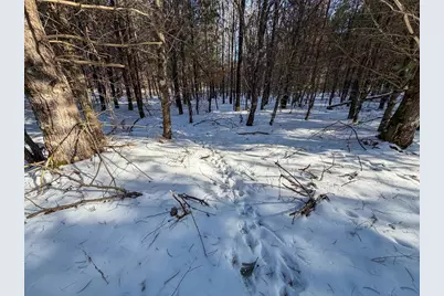 5148, Lot 2 County Highway S, Sparta, WI 54656 - Photo 14