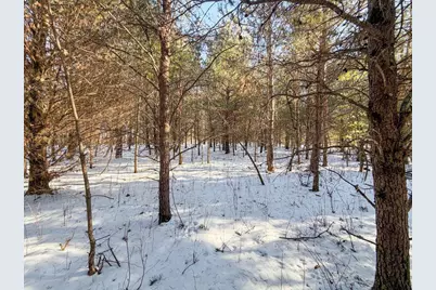 5148, Lot 2 County Highway S, Sparta, WI 54656 - Photo 22