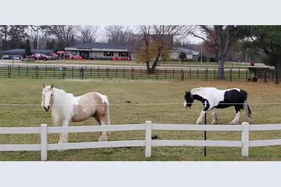 60 +/- Acres Freedom Rd, Tomah, WI 54660 - Photo 80