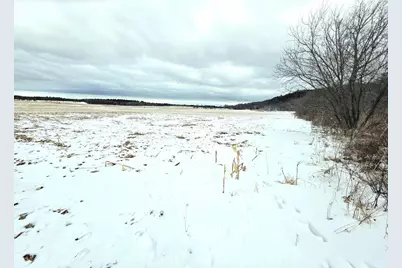 137 Acres Morrissey Road, Mauston, WI 53948 - Photo 12