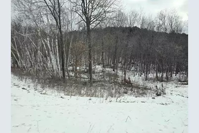 137 Acres Morrissey Road, Mauston, WI 53948 - Photo 8