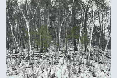 137 Acres Morrissey Road, Mauston, WI 53948 - Photo 10