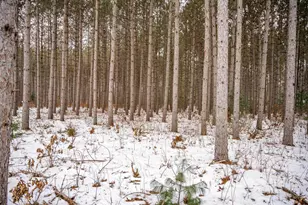 W4275 Mays Ct, Necedah, WI 54646 - Photo 20