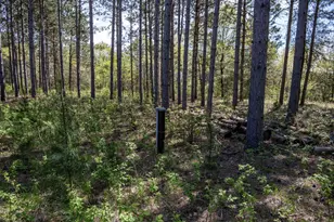 W4275 Mays Ct, Necedah, WI 54646 - Photo 28