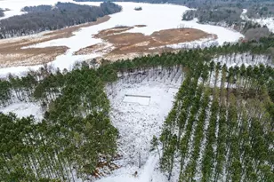 W4275 Mays Ct, Necedah, WI 54646 - Photo 34