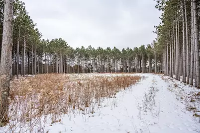 W4275 Mays Court, Necedah, WI 54646 - Photo 22