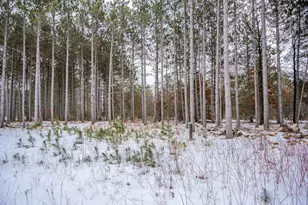 W4275 Mays Ct, Necedah, WI 54646 - Photo 18