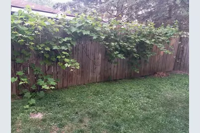 113 Leon Street, Madison, WI 53714 - Photo 36