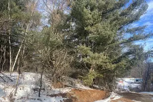 N4750 Whitetail Ln, Elroy, WI 53929 - Photo 26