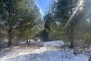 N4750 Whitetail Ln, Elroy, WI 53929 - Photo 28