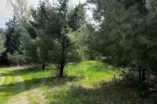 N4750 Whitetail Ln, Elroy, WI 53929 - Photo 22