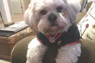 1816 Eastwood Ave, Janesville, WI 53545 - Photo 30