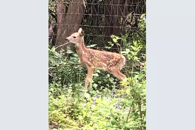 1816 Eastwood Avenue, Janesville, WI 53545 - Photo 78