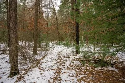 Lot 3 Meadow Drive, New Lisbon, WI 53950 - Photo 14