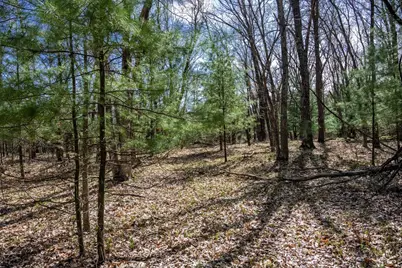 W3970 Boaters Dream Drive, Mauston, WI 53948 - Photo 30