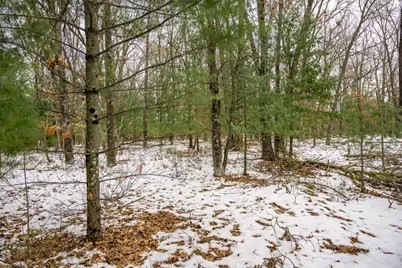 W3970 Boaters Dream Drive, Mauston, WI 53948 - Photo 16